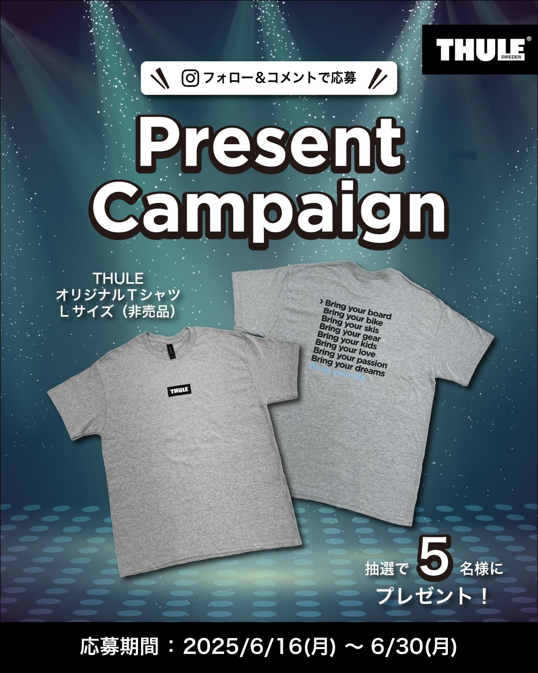 tshirt_present_post01_d.jpg